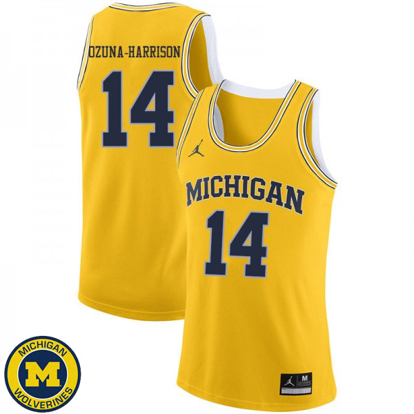 Men Michigan Wolverines #14 Rico Ozuna-Harrison Yellow High School Basketball Jersey